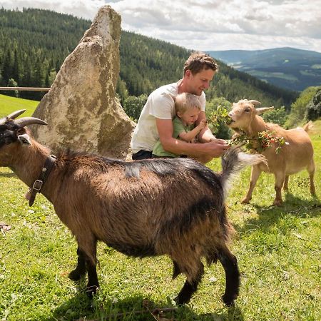 Gasthof Pension Orthofer Sankt Jakob im Walde Exteriör bild