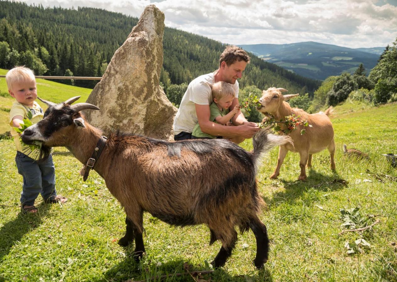 Gasthof Pension Orthofer Sankt Jakob im Walde Exteriör bild